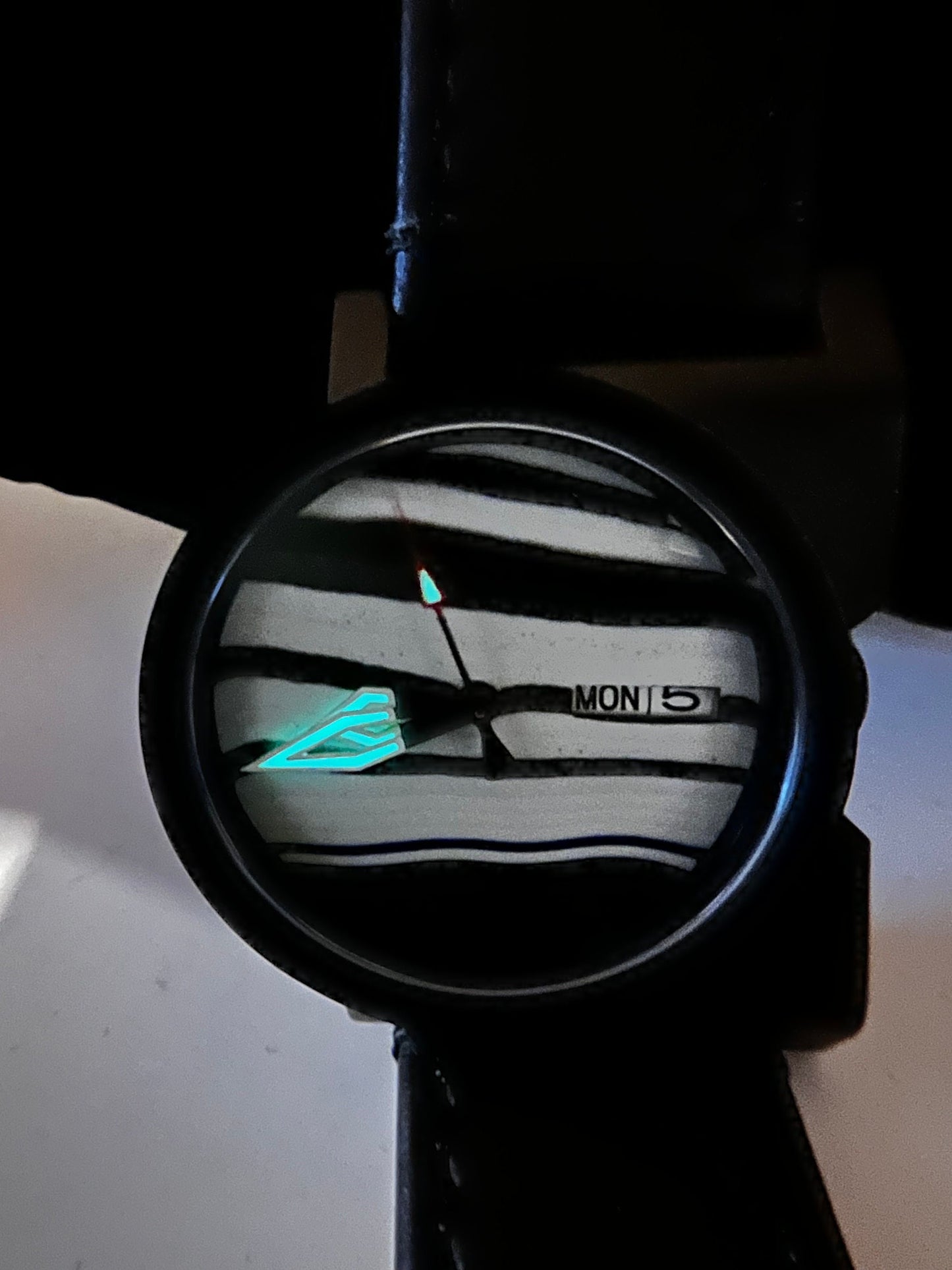 Black and white NH38 powered watch in Ando case